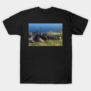 Up close and personal with an Alligator T-Shirt